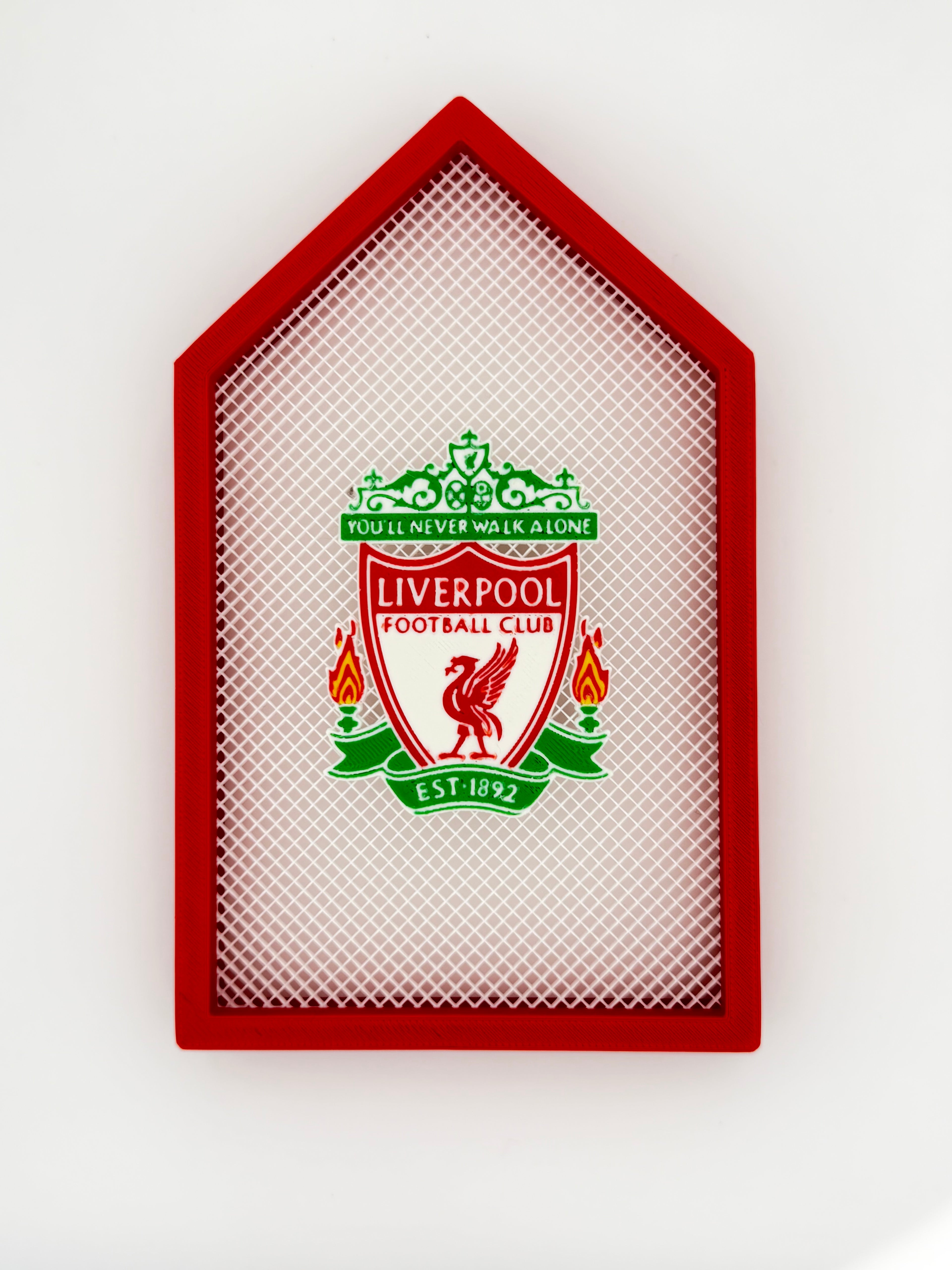 3D printed football badge display-any football team available (max of 4 colours on badge)