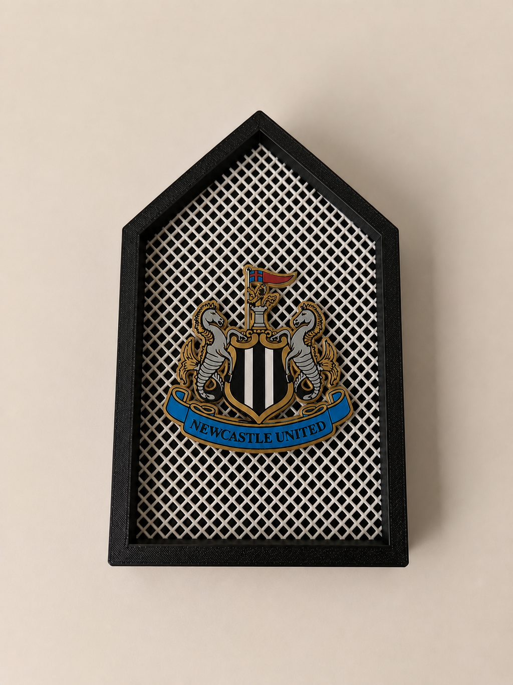 3D printed football badge display